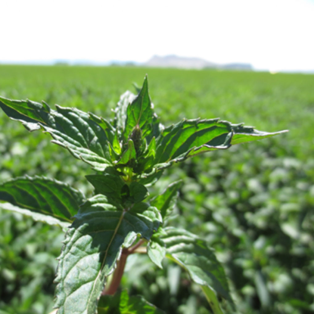 berufserfahrene_nachhaltig-u-fair@1,5x