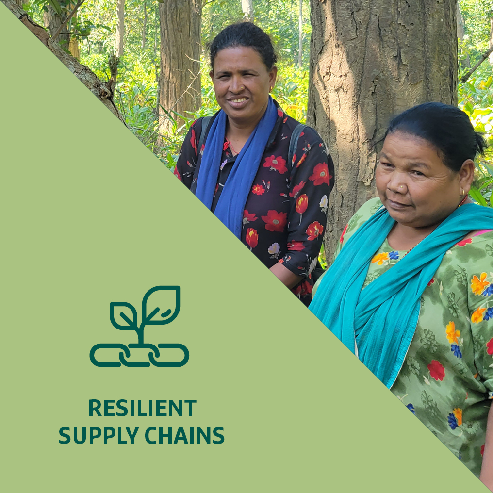 Fokusfelder_Supply Chain_en_V2_2