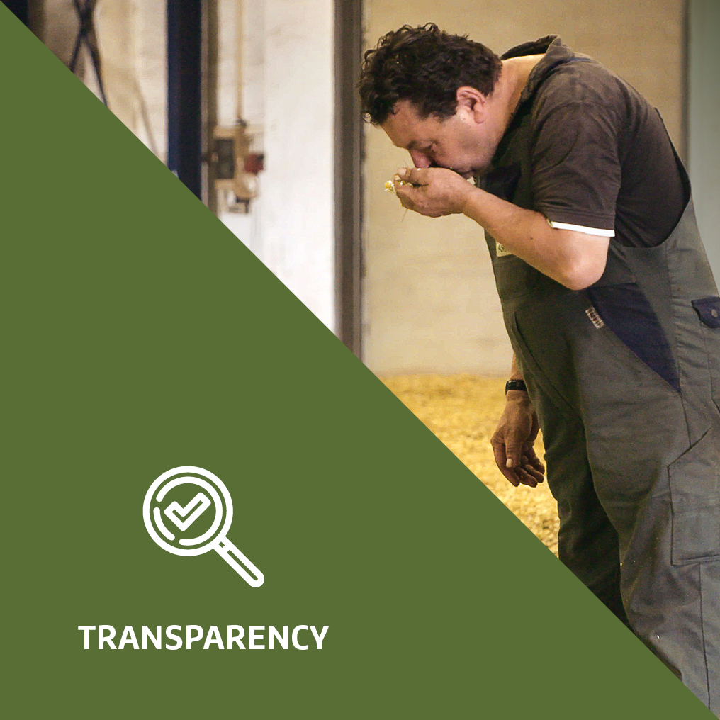 Fokusfelder_Transparency_en_V2_4