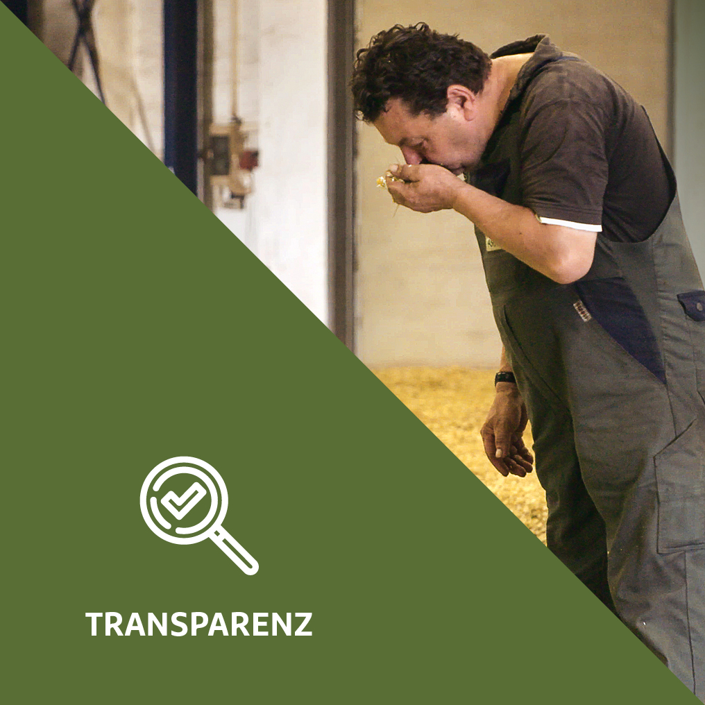 Fokusfelder_Transparenz_de_V2_4