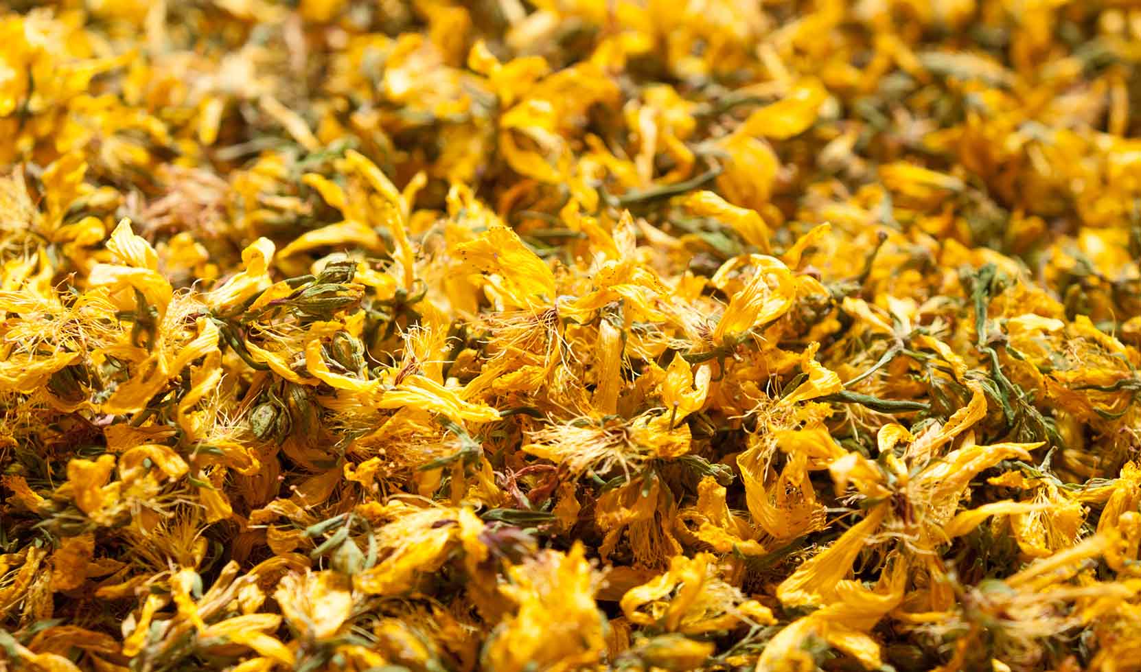 pflanzliche_rohstoffe_pflanzenpulver_rohstoffe