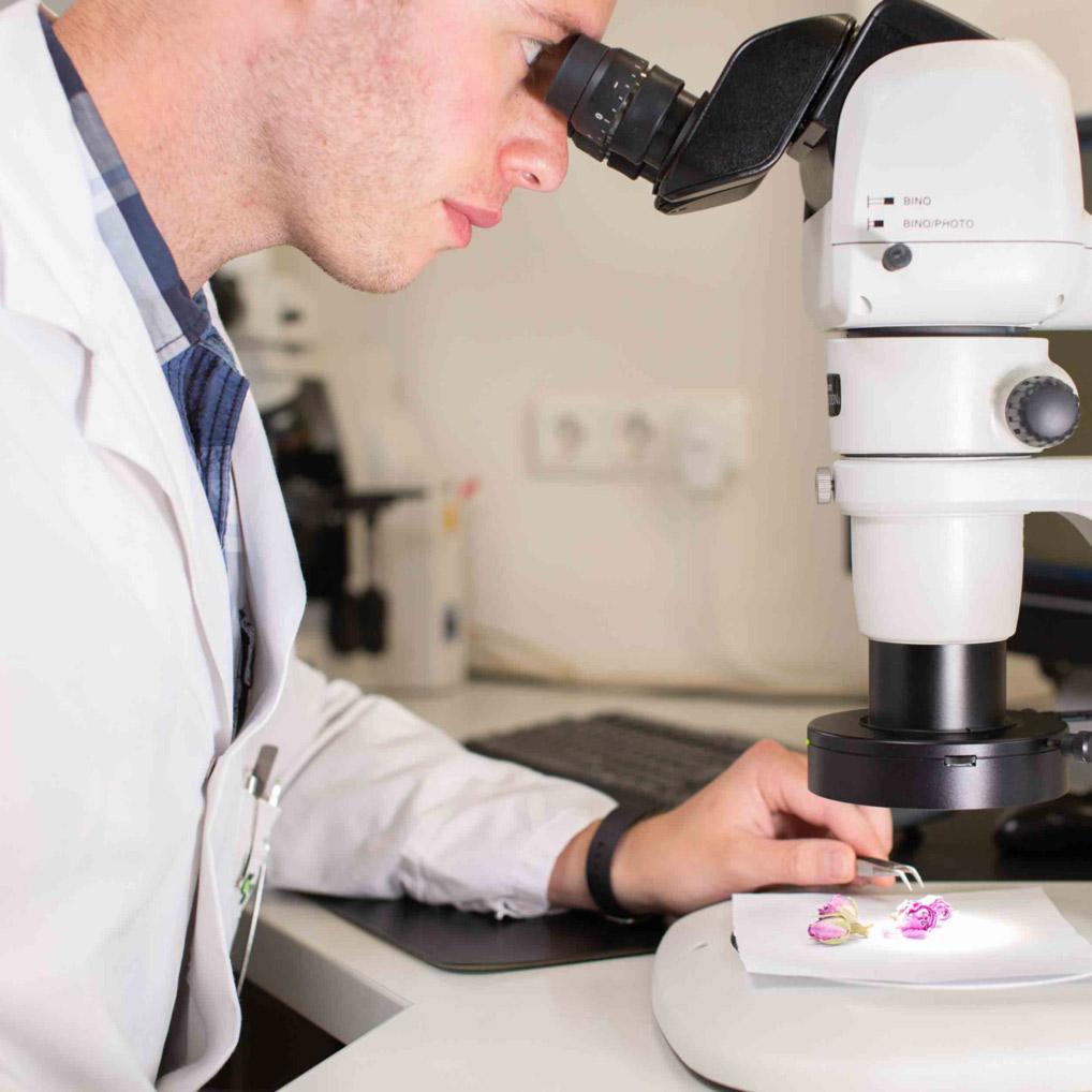 qualitaet_sicherheit_labor_mikroskop