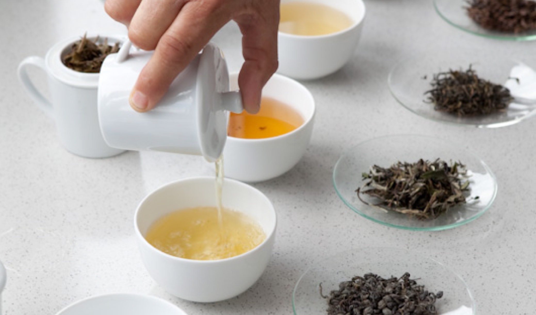 tees_schwarz-und-gruentees@2x